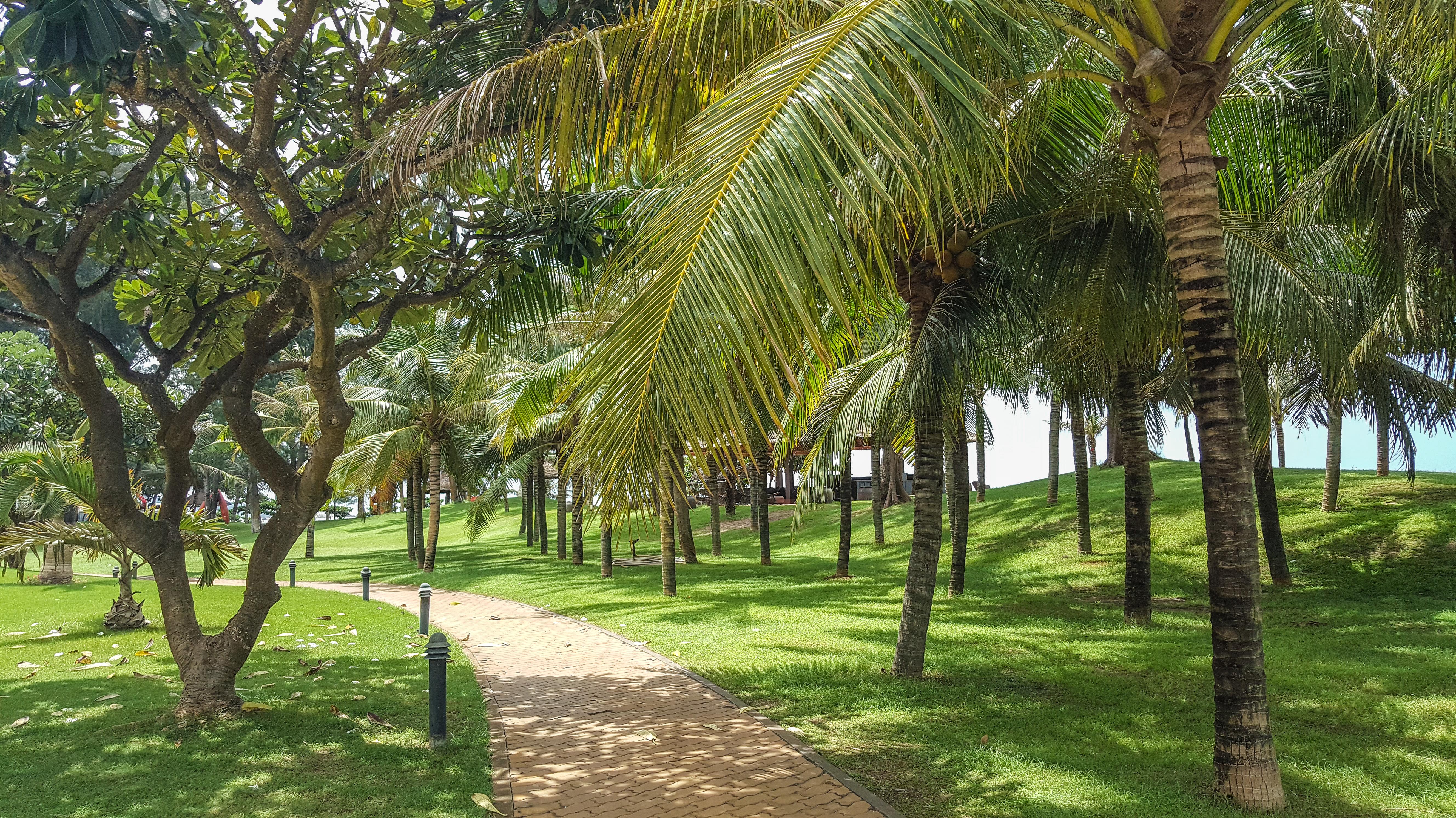 Phan Thiet Ocean Dunes Resort Εξωτερικό φωτογραφία